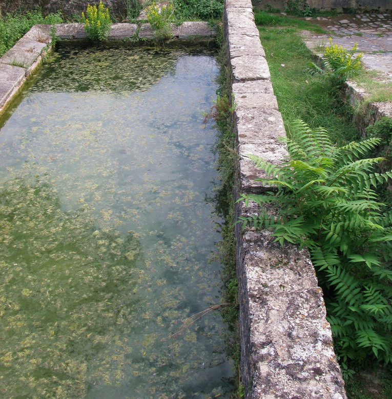 Fontanili della Toscana